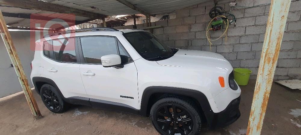 جيب رينيجيد